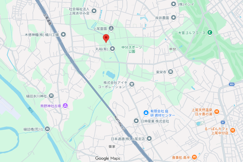 Google map